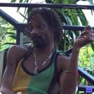 Meet your Posher, Mondree